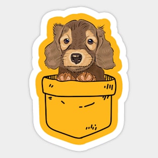 Dachshund puppy in your pocket Sticker